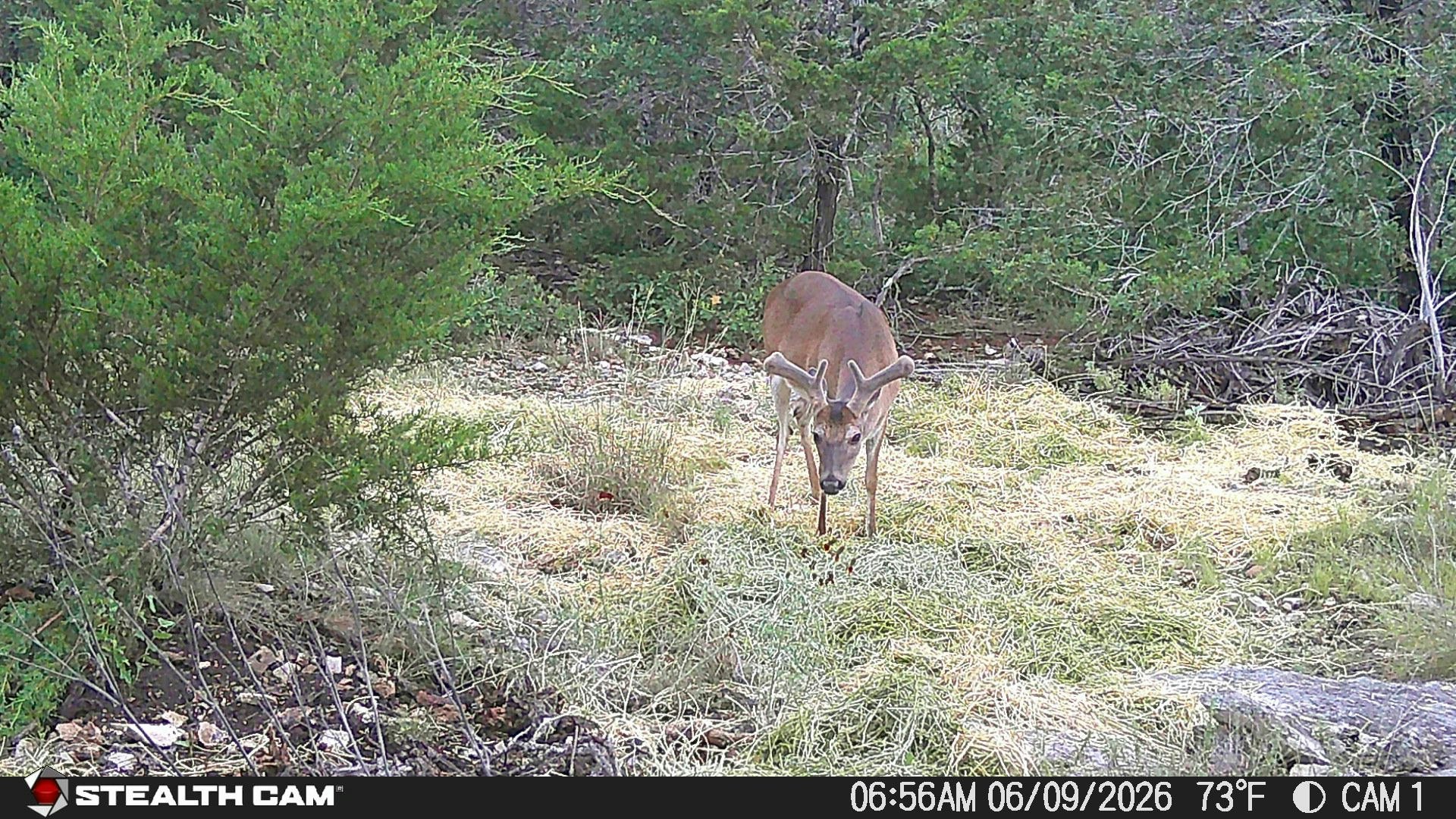 189 Campfire Trail West Hunt TX 78024