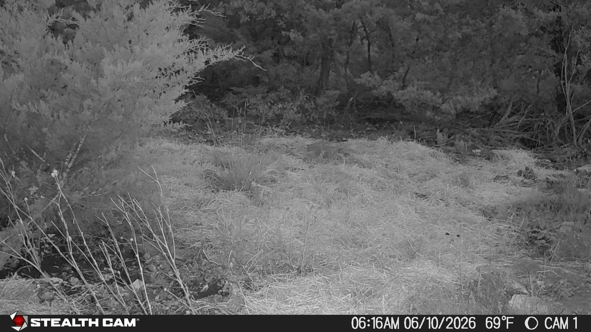 189 Campfire Trail West Hunt TX 78024