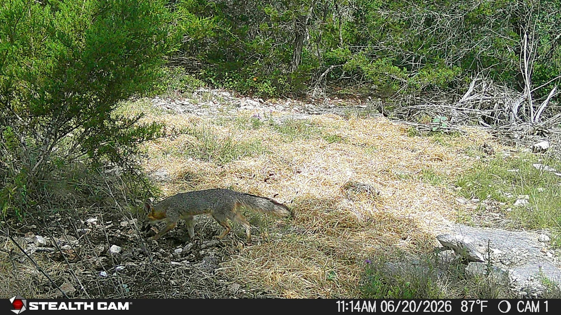 189 Campfire Trail West Hunt TX 78024