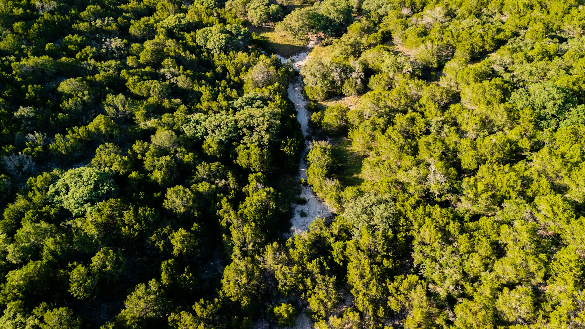 189 Campfire Trail West Hunt TX 78024