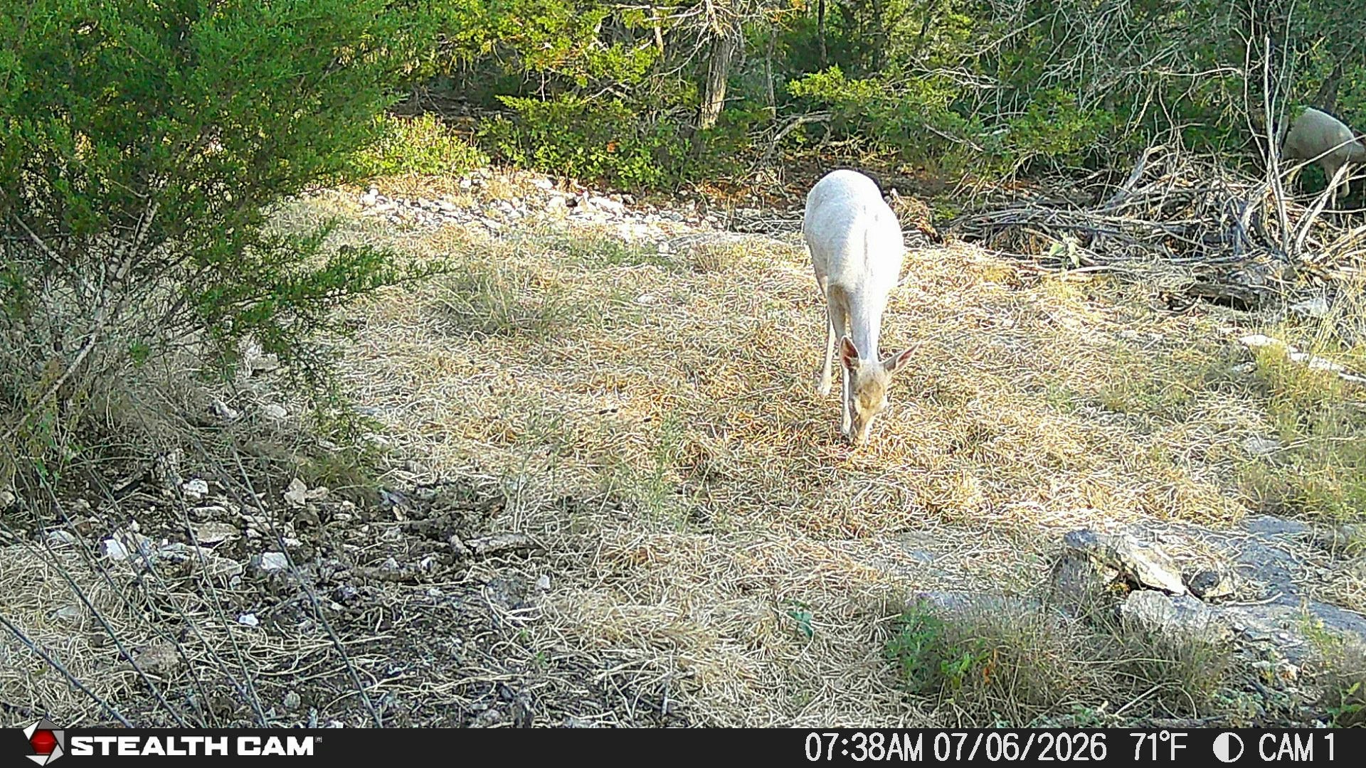 189 Campfire Trail West Hunt TX 78024