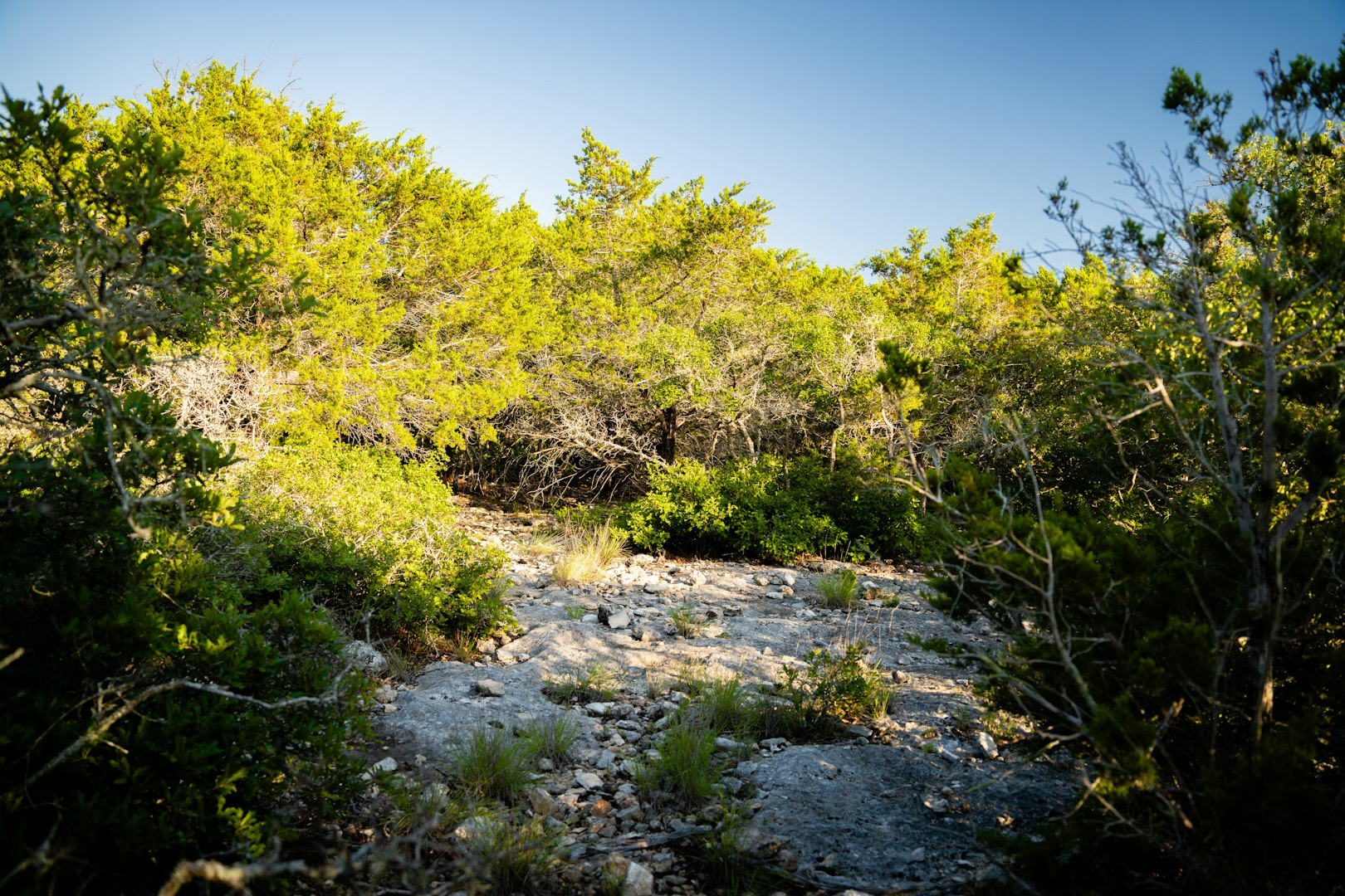 189 Campfire Trail West Hunt TX 78024