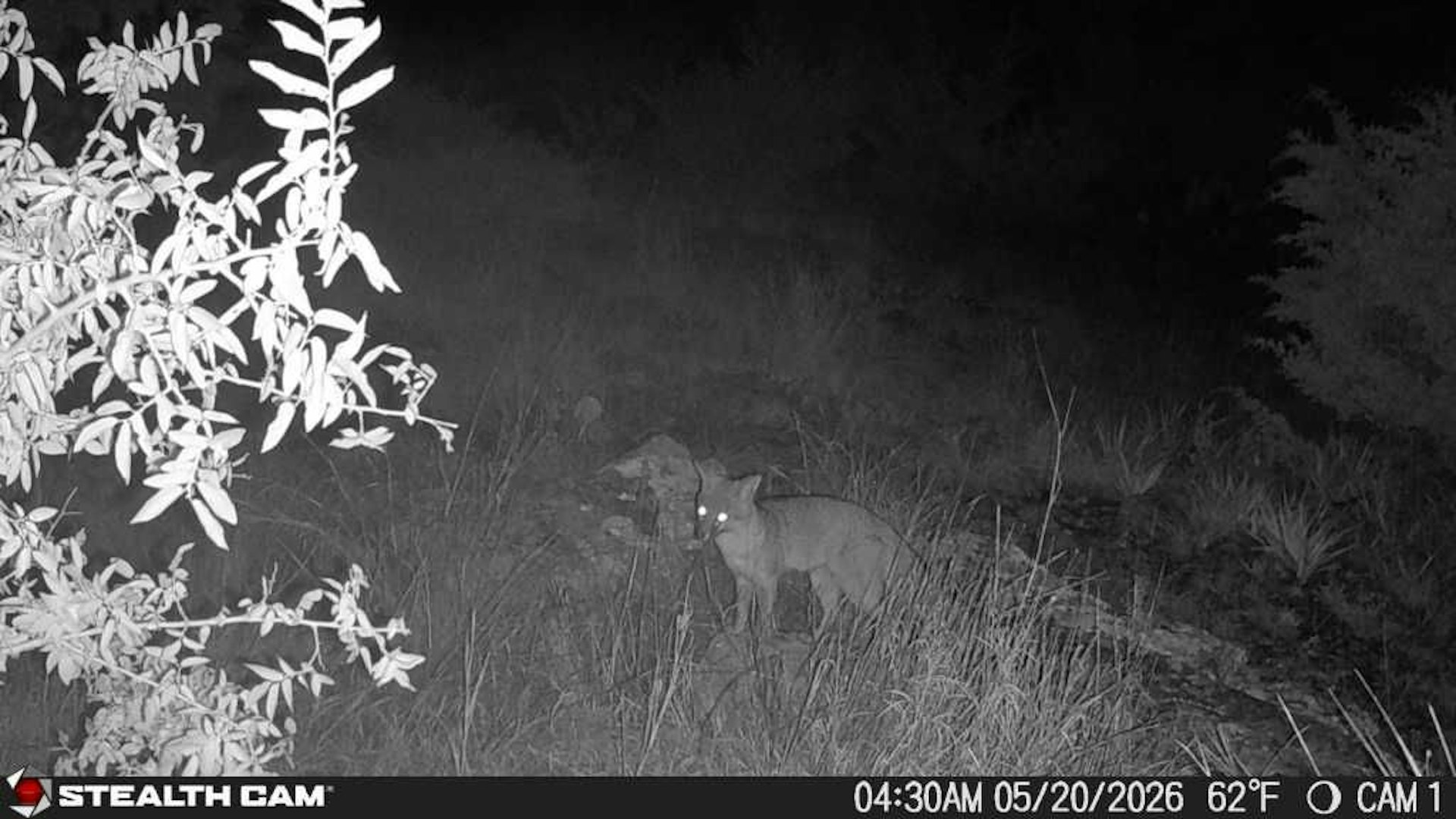 189 Campfire Trail West Hunt TX 78024