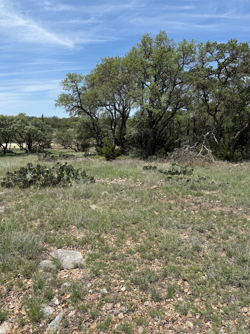 0000 Mountain Legacy Ranch Mountain Home TX 78058