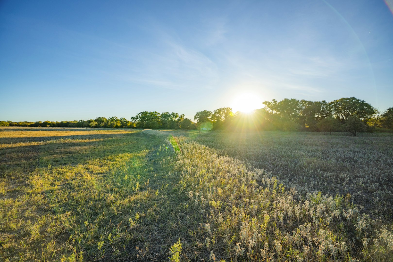 0000 Tbd County Road 290 Rising Star TX 76471