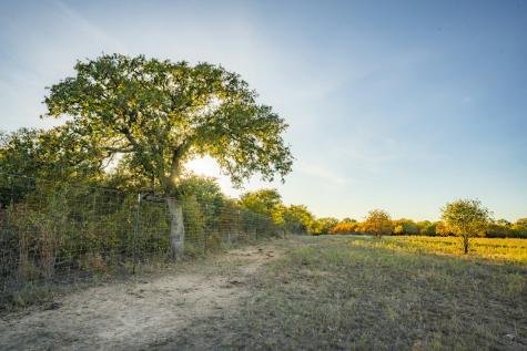 0000 Tbd County Road 290 Rising Star TX 76471
