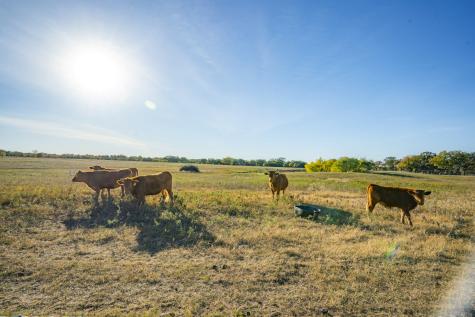 0000 Tbd County Road 290 Rising Star TX 76471
