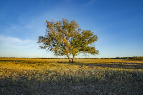 0000 Tbd County Road 290 Rising Star TX 76471