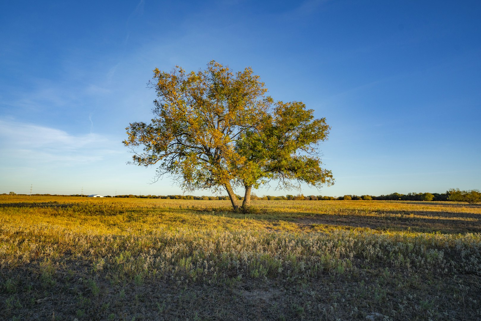 0000 Tbd County Road 290 Rising Star TX 76471