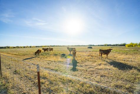 0000 Tbd County Road 290 Rising Star TX 76471