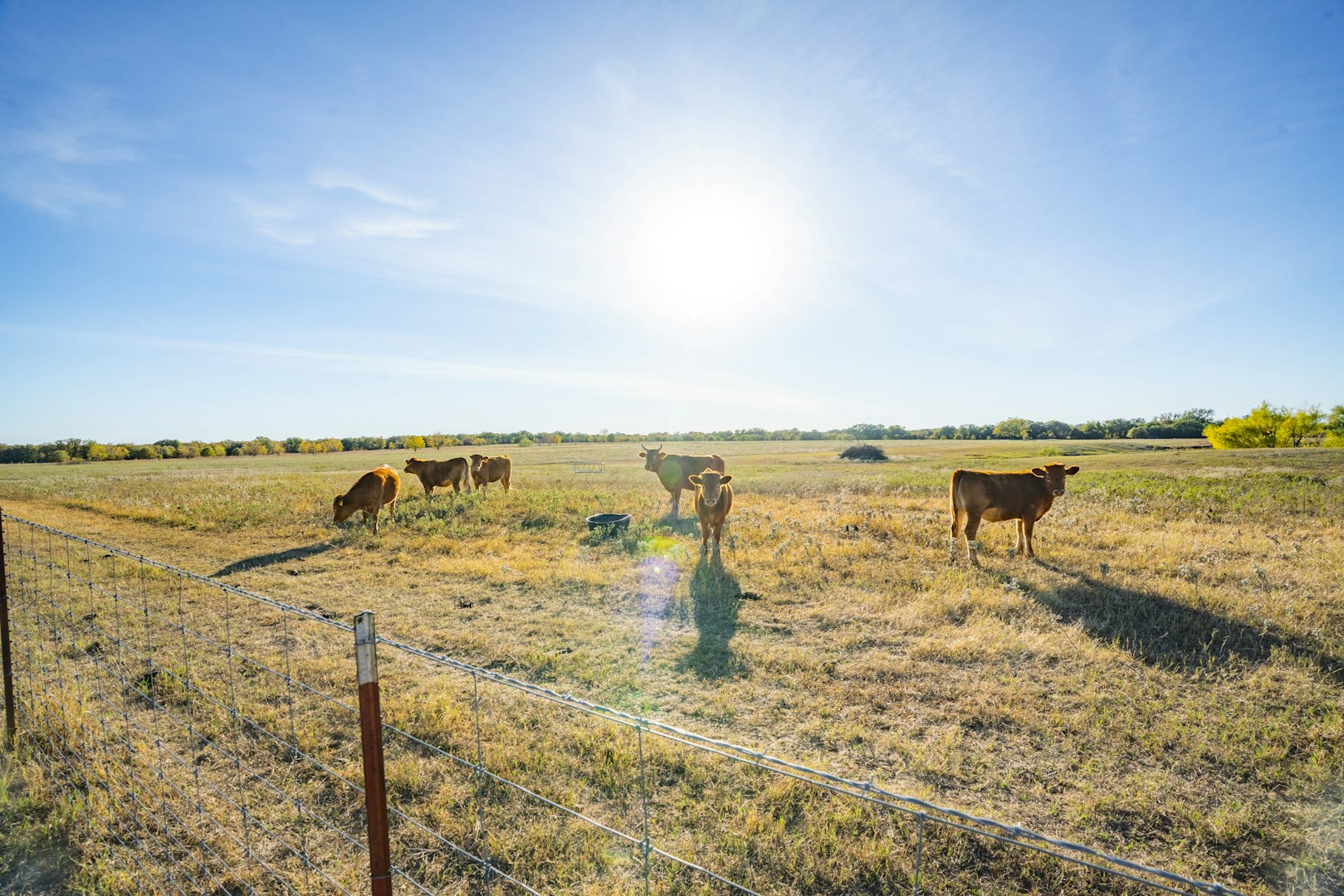 0000 Tbd County Road 290 Rising Star TX 76471