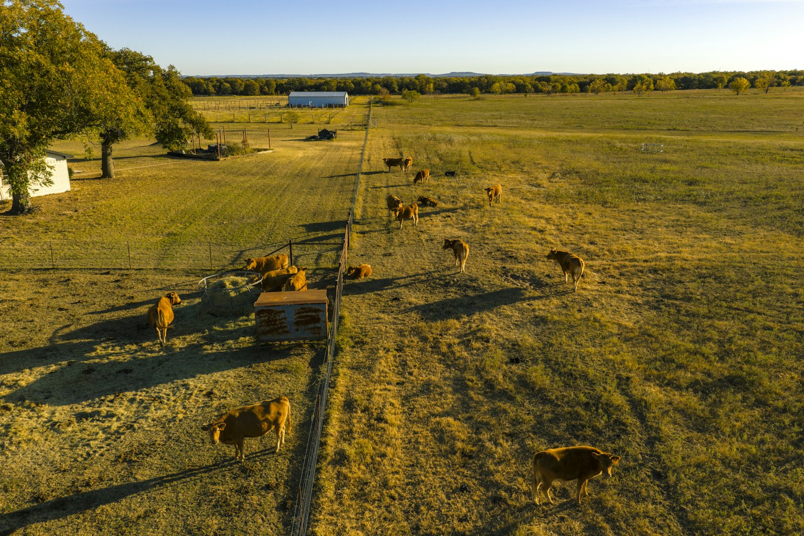 0000 Tbd County Road 290 Rising Star TX 76471