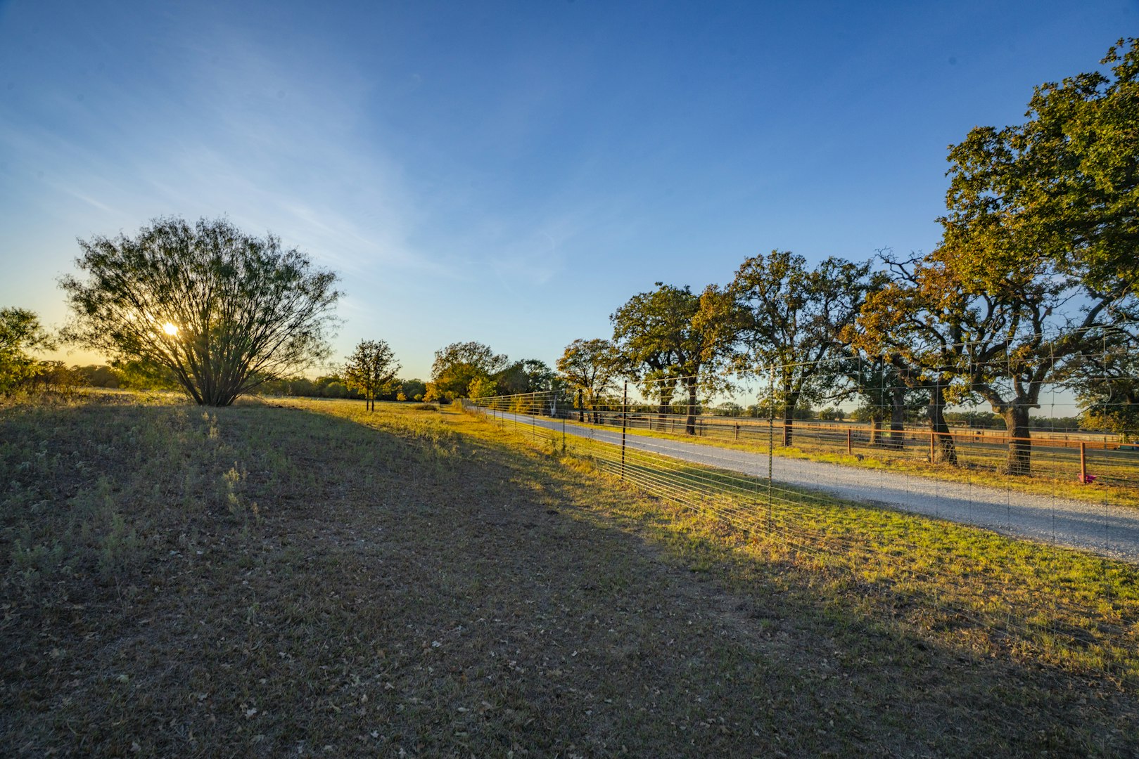 0000 Tbd County Road 290 Rising Star TX 76471