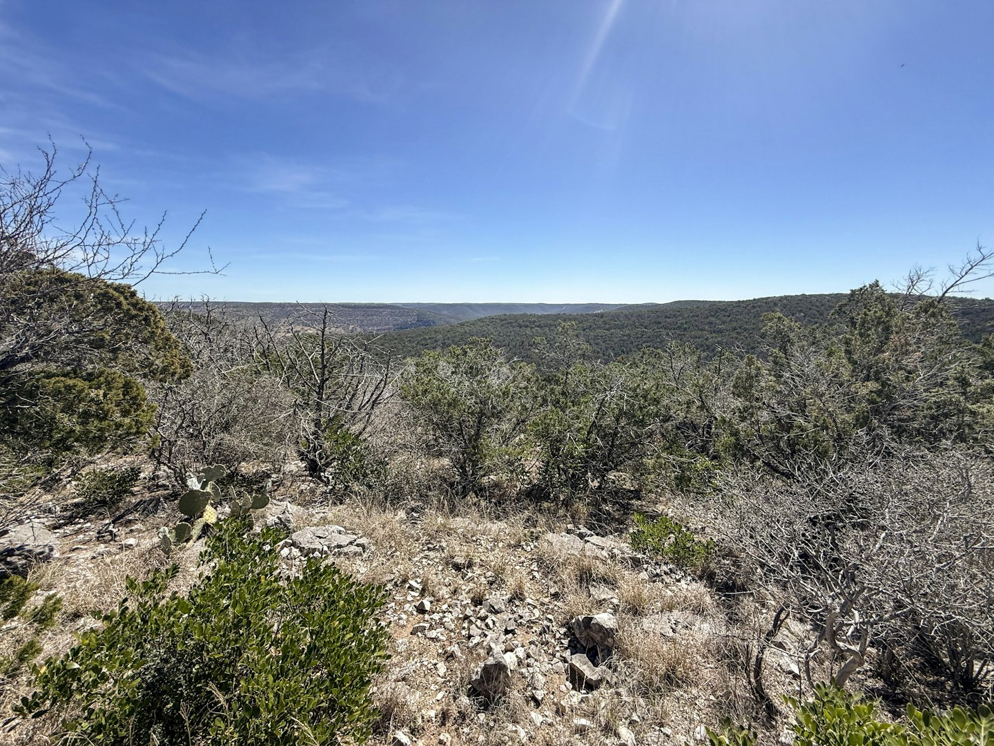 196 Spring Country Ranch Road Leakey TX 78873