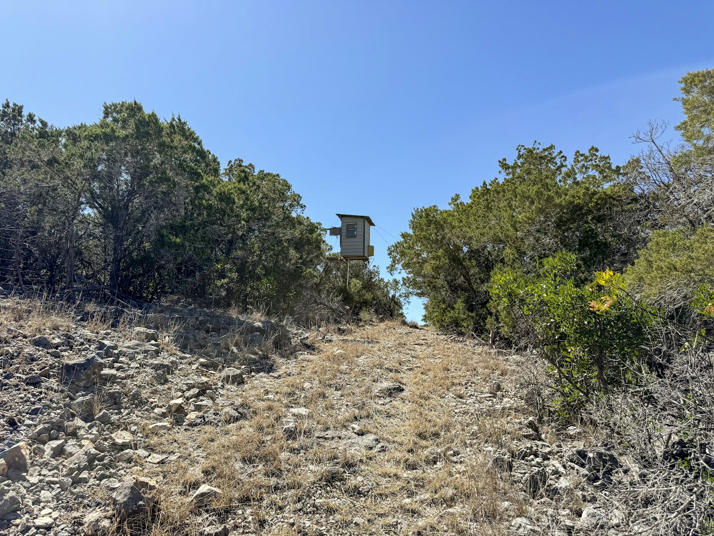 196 Spring Country Ranch Road Leakey TX 78873