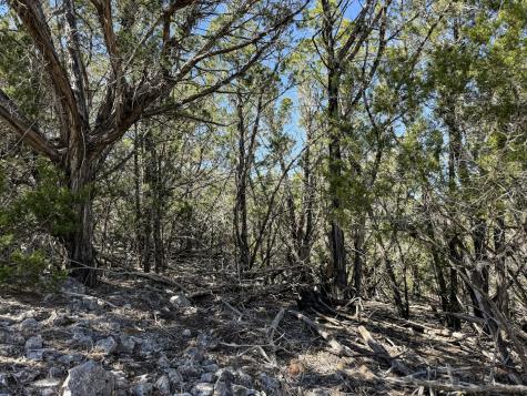 196 Spring Country Ranch Road Leakey TX 78873