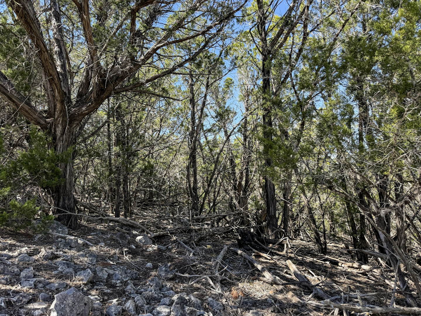 196 Spring Country Ranch Road Leakey TX 78873