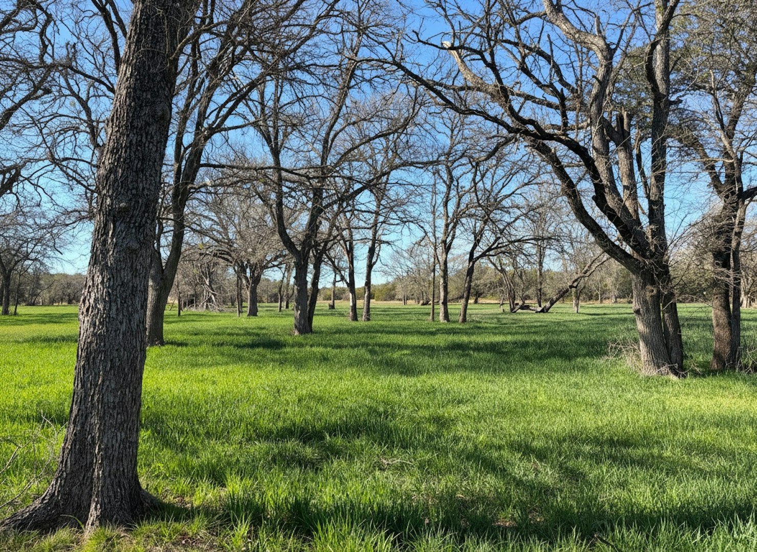 1112 County Road 139 Gatesville TX 76528