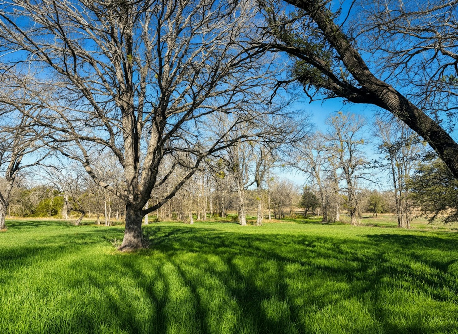 1112 County Road 139 Gatesville TX 76528