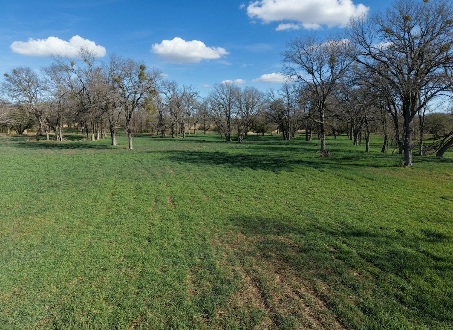 1112 County Road 139 Gatesville TX 76528