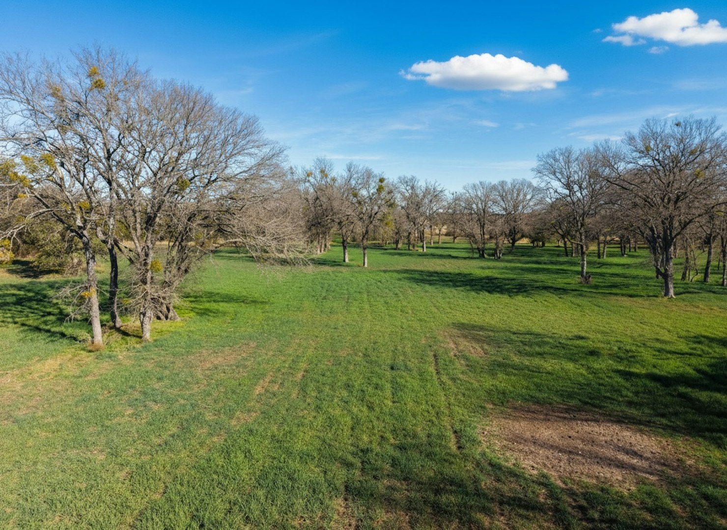 1112 County Road 139 Gatesville TX 76528