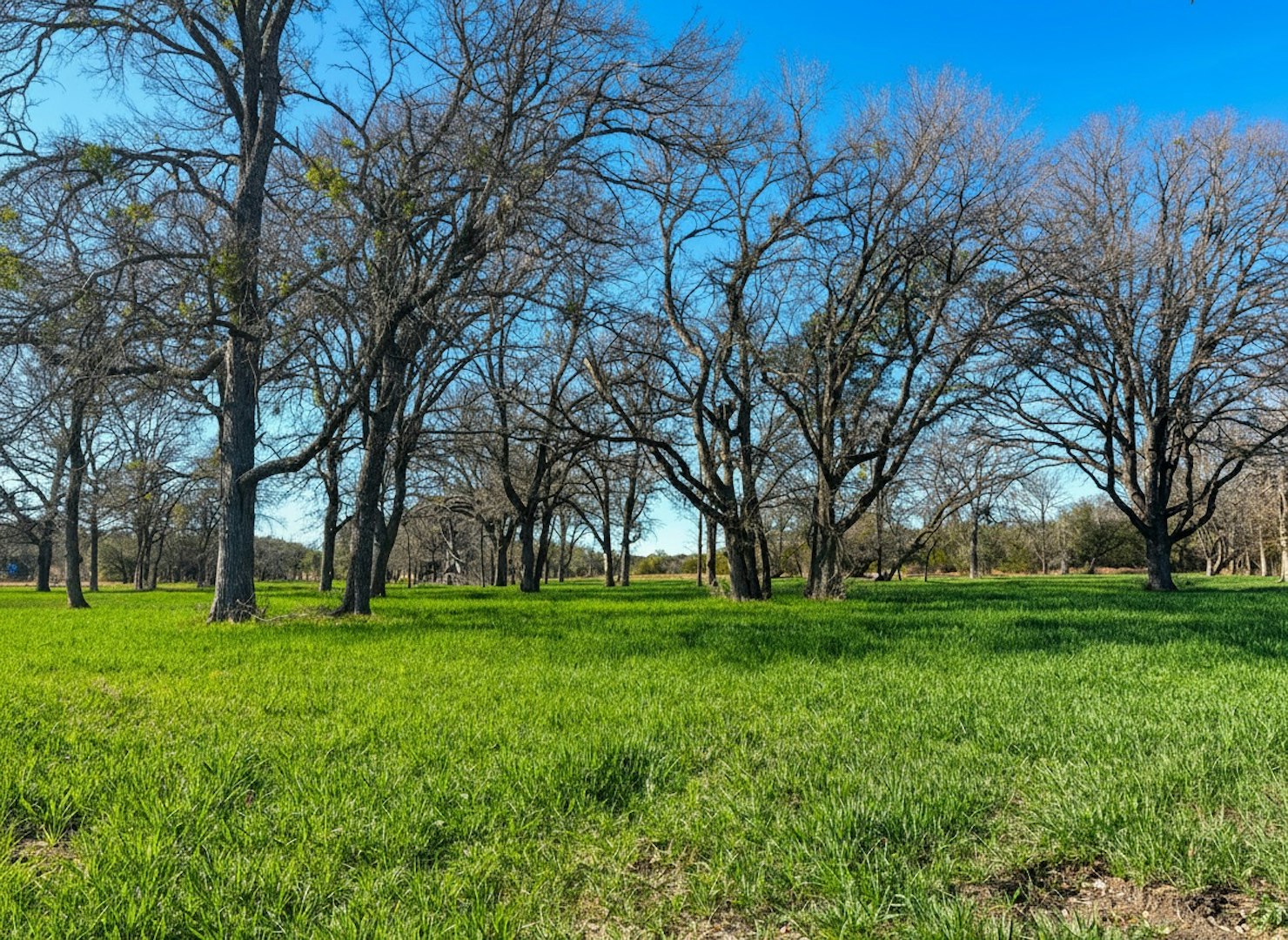 1112 County Road 139 Gatesville TX 76528