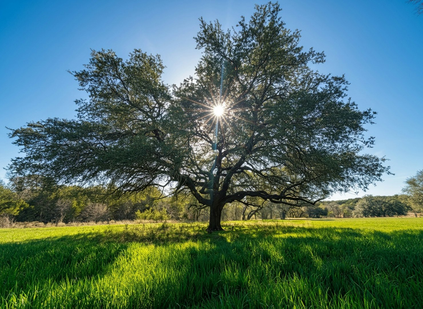 1112 County Road 139 Gatesville TX 76528