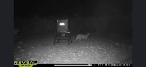 0000 High Lonesome Ranch South Lots 3 And 4 Comstock TX 78837