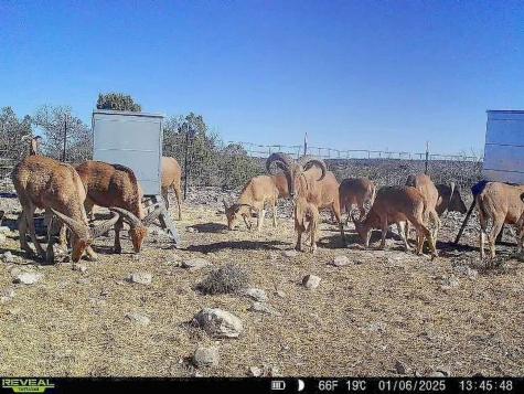 0000 High Lonesome Ranch South Lots 3 And 4 Comstock TX 78837