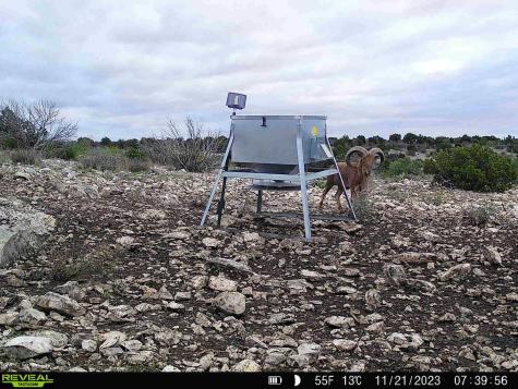 0000 High Lonesome Ranch South Lots 3 And 4 Comstock TX 78837