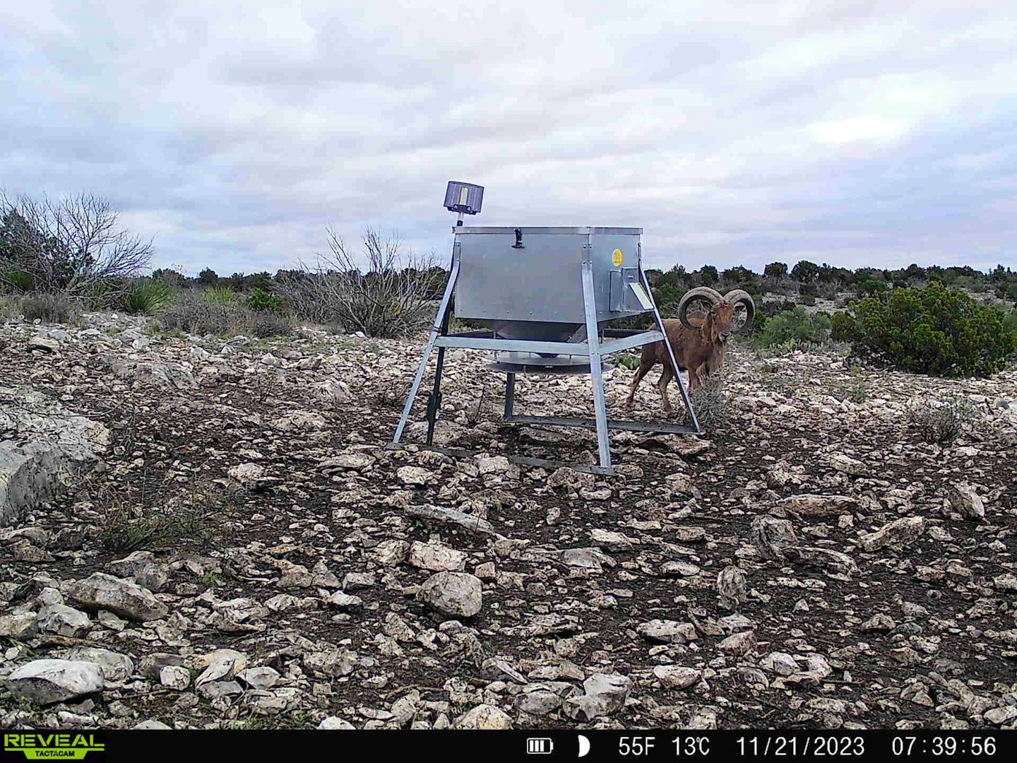 0000 High Lonesome Ranch South Lots 3 And 4 Comstock TX 78837