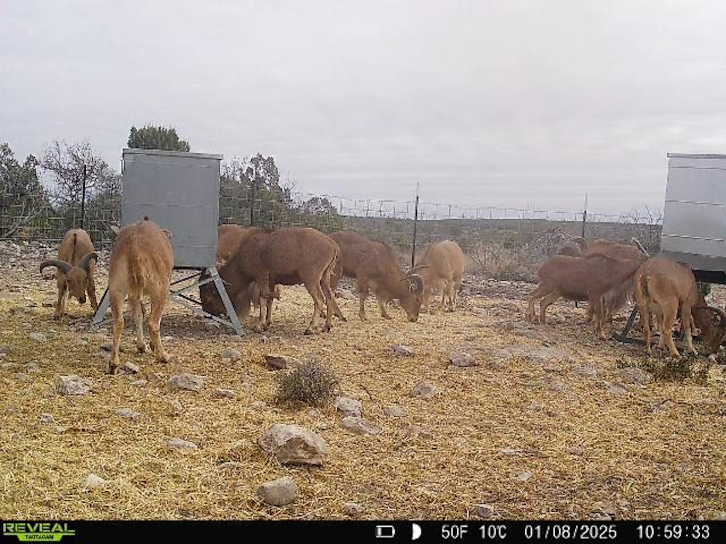 0000 High Lonesome Ranch South Lots 3 And 4 Comstock TX 78837