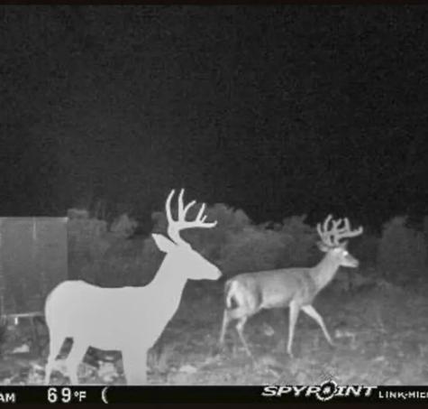 0000 High Lonesome Ranch South Lots 3 And 4 Comstock TX 78837