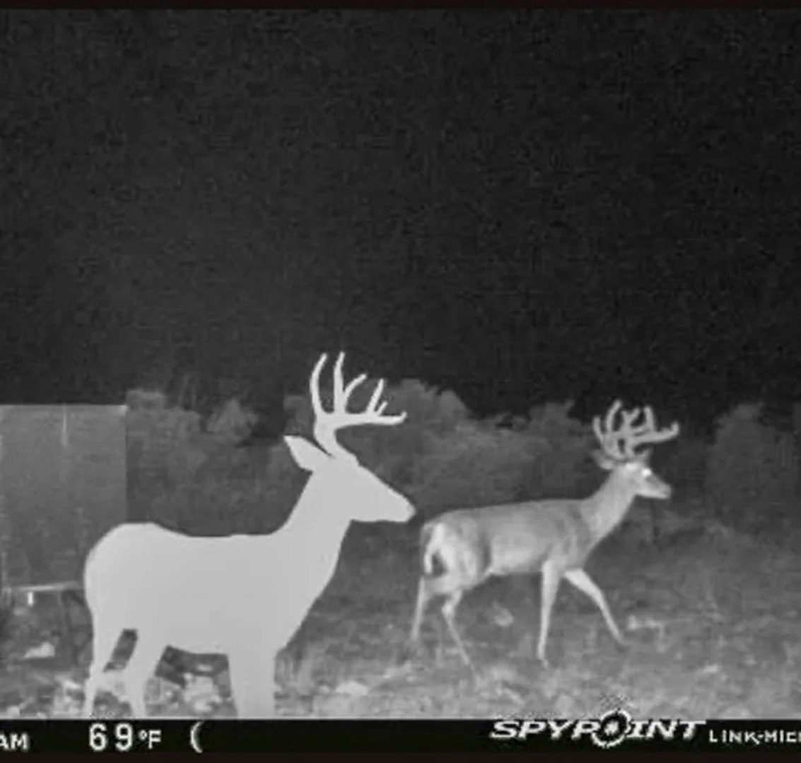 0000 High Lonesome Ranch South Lots 3 And 4 Comstock TX 78837