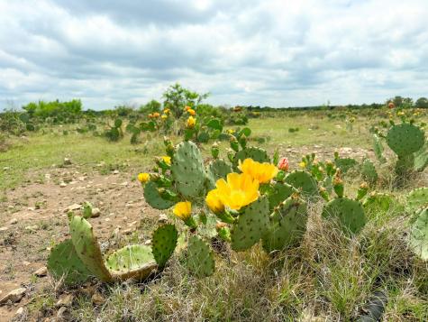 0000 High Lonesome Ranch South Lots 3 And 4 Comstock TX 78837