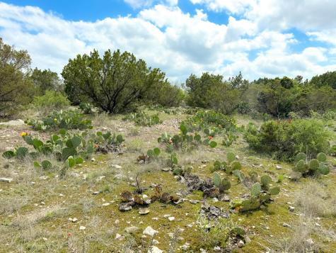 0000 High Lonesome Ranch South Lots 3 And 4 Comstock TX 78837
