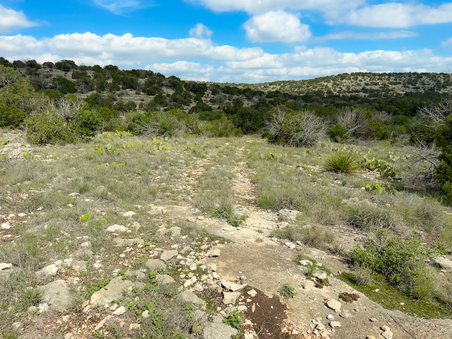 0000 High Lonesome Ranch South Lots 3 And 4 Comstock TX 78837