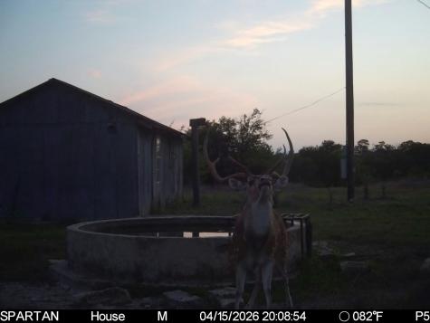 0000 Tbd Ranch To Market Road 473 Comfort TX 78013