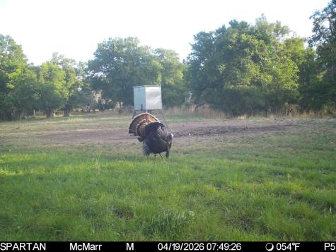 0000 Tbd Ranch To Market Road 473 Comfort TX 78013