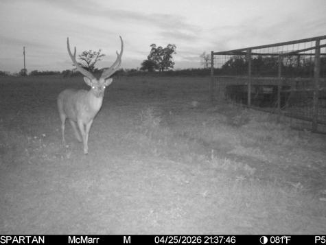 0000 Tbd Ranch To Market Road 473 Comfort TX 78013