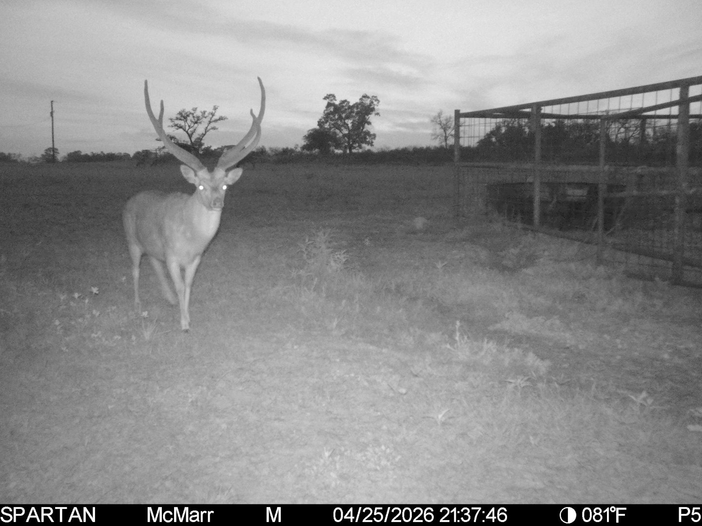 0000 Tbd Ranch To Market Road 473 Comfort TX 78013