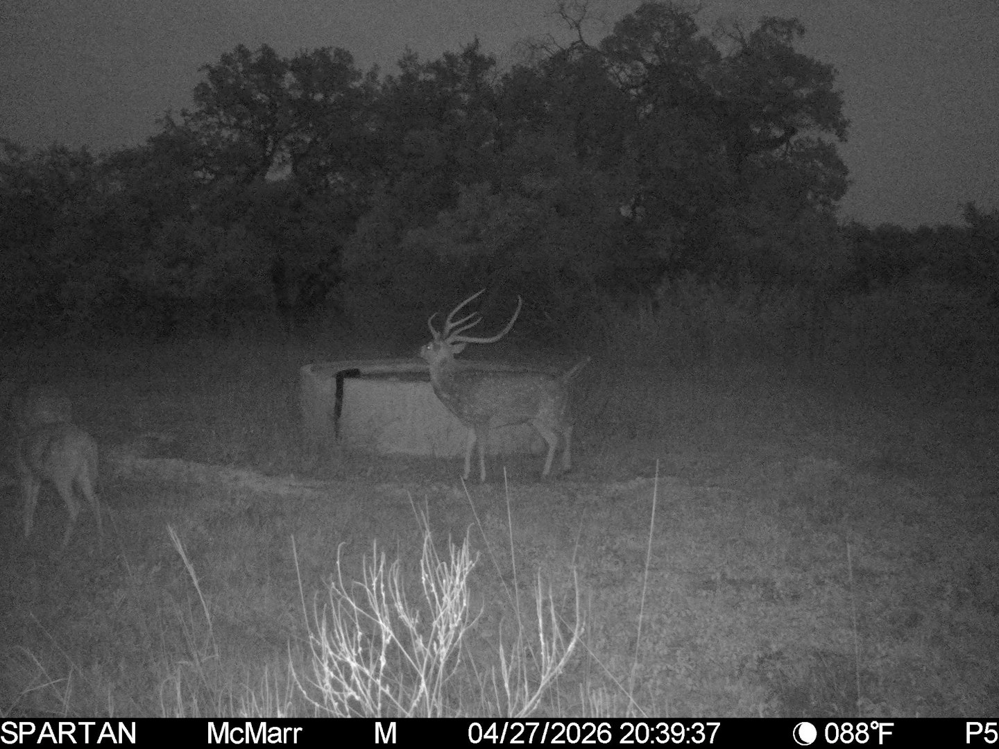 0000 Tbd Ranch To Market Road 473 Comfort TX 78013