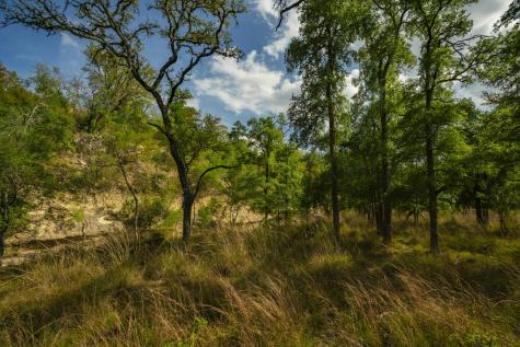 0000 Tbd Ranch To Market Road 473 Comfort TX 78013
