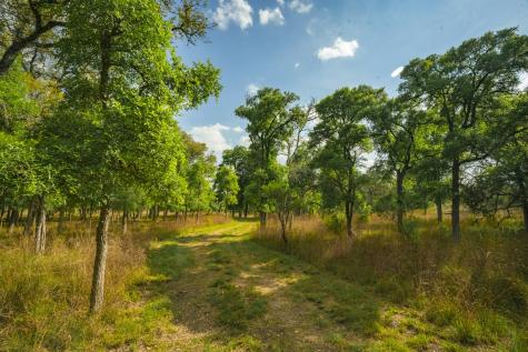 0000 Tbd Ranch To Market Road 473 Comfort TX 78013