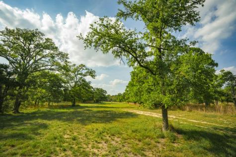 0000 Tbd Ranch To Market Road 473 Comfort TX 78013