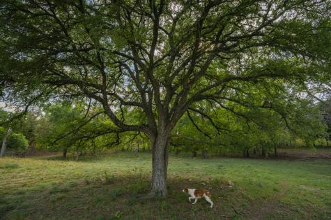 0000 Tbd Ranch To Market Road 473 Comfort TX 78013