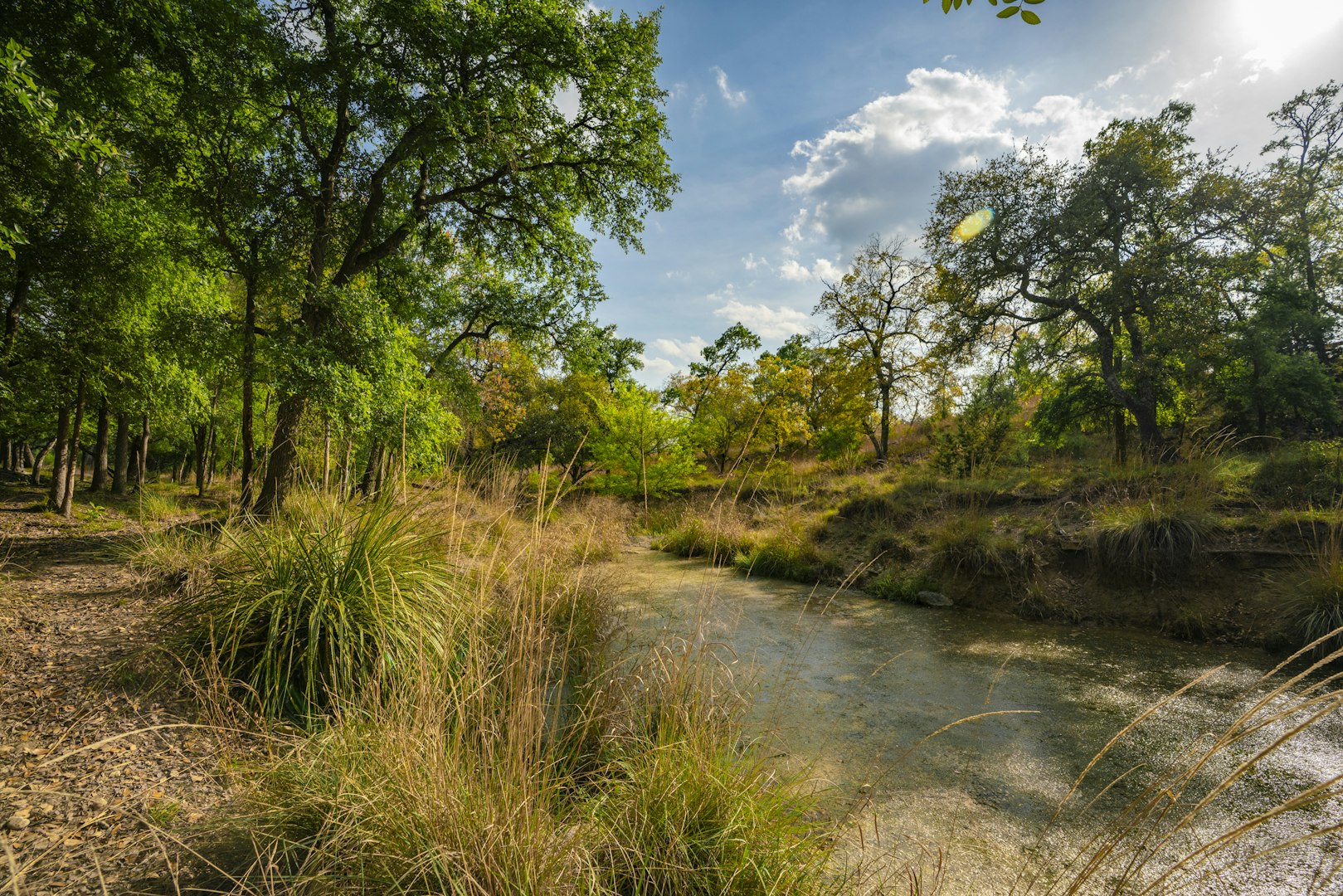 0000 Tbd Ranch To Market Road 473 Comfort TX 78013