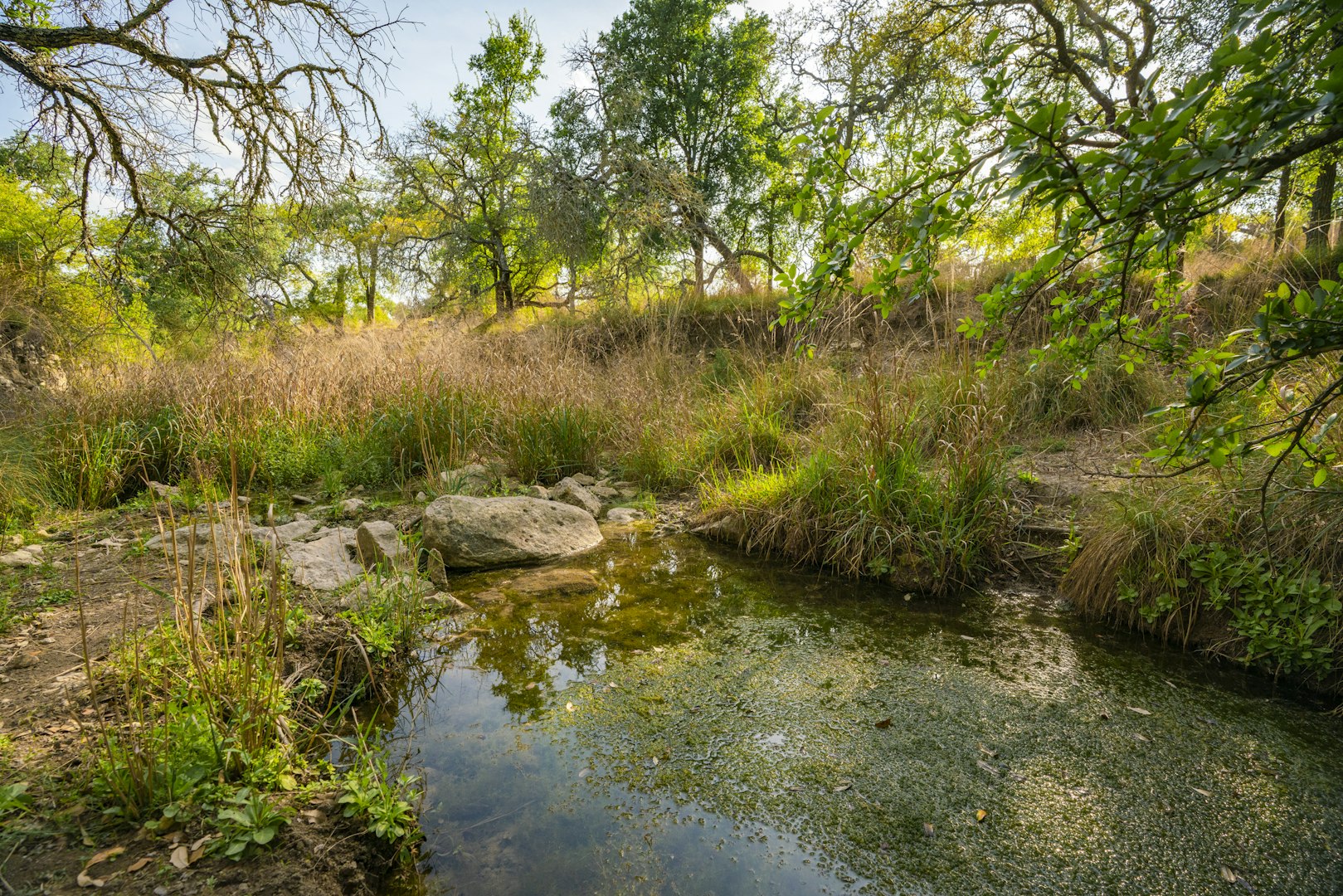 0000 Tbd Ranch To Market Road 473 Comfort TX 78013