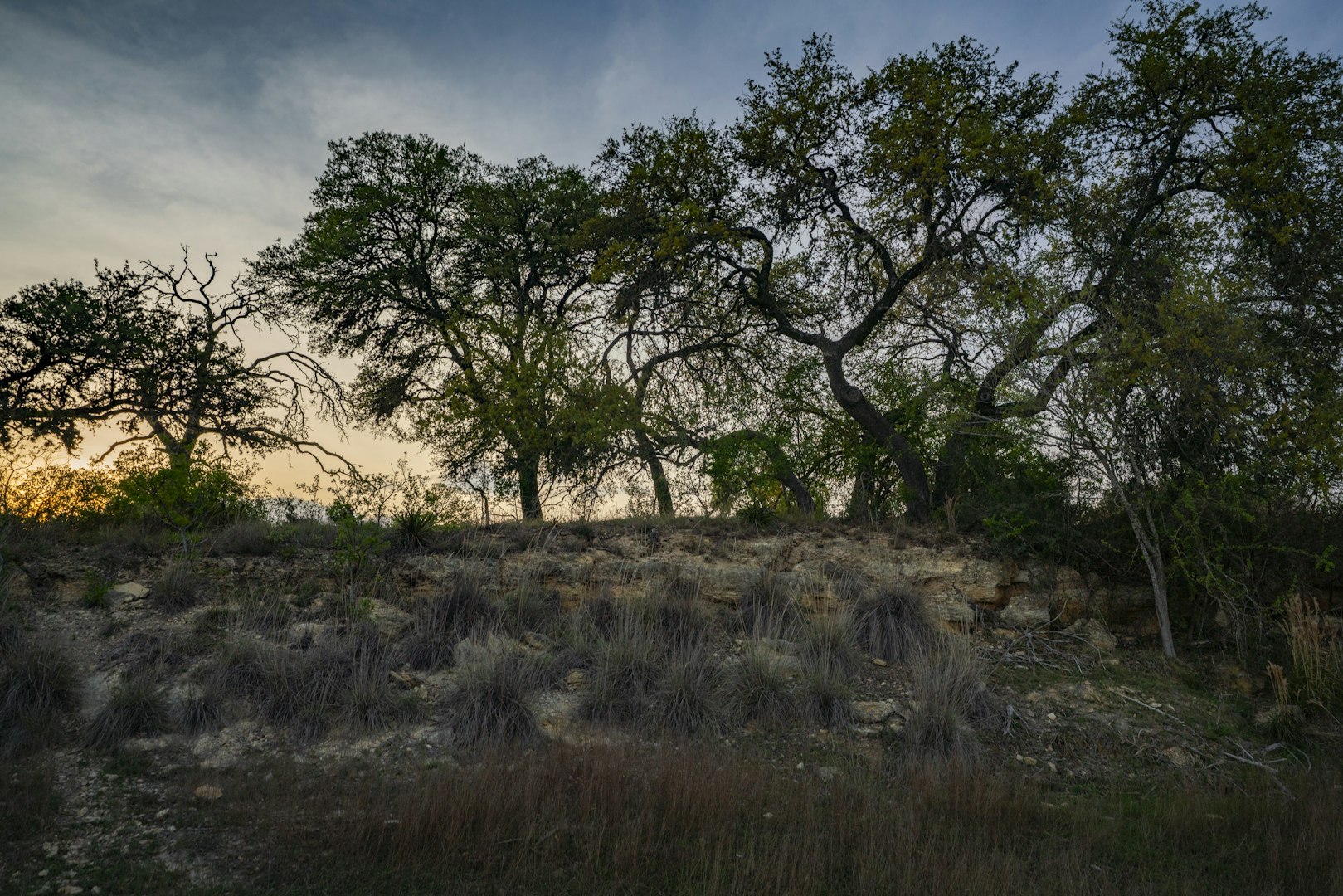 0000 Tbd Ranch To Market Road 473 Comfort TX 78013