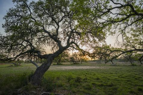 0000 Tbd Ranch To Market Road 473 Comfort TX 78013